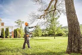 How Our Tree Care Process Works  in  Brownville, NJ