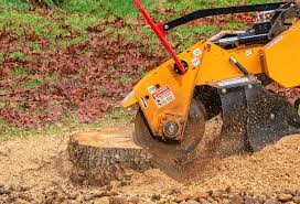 Best Tree and Shrub Care  in Brownville, NJ